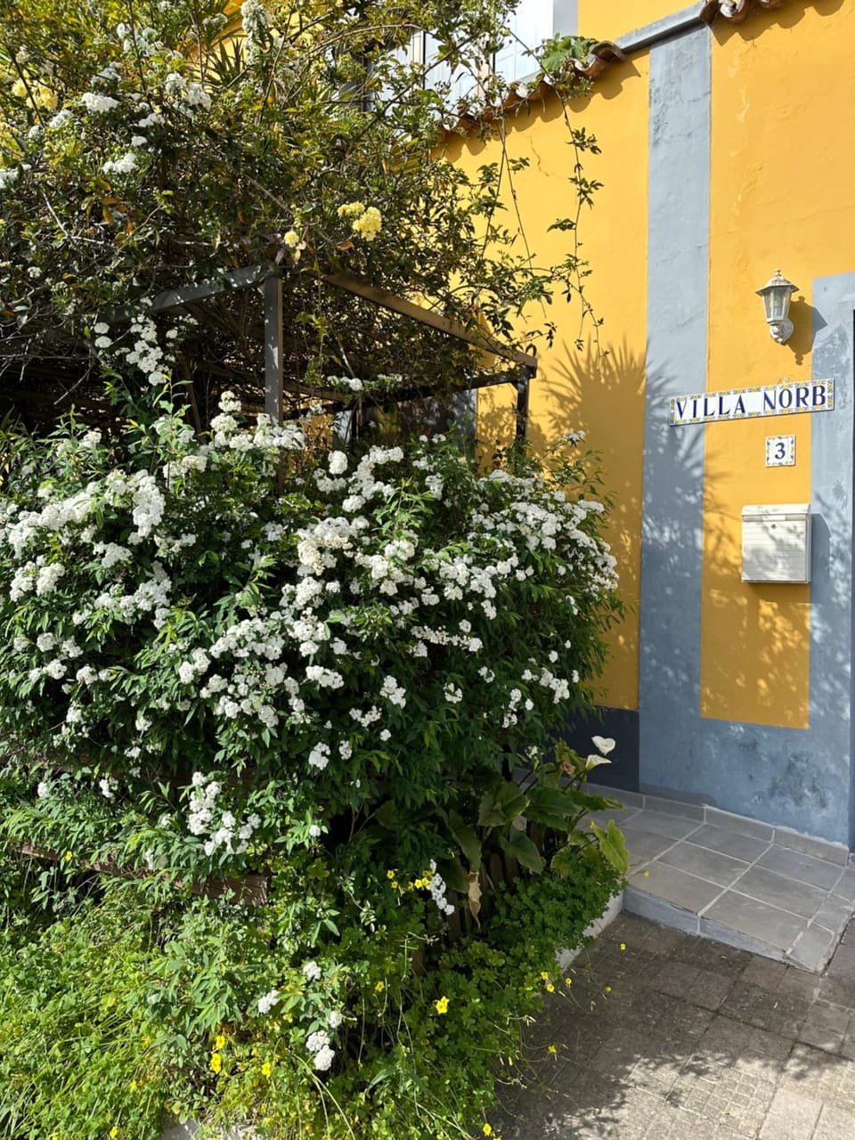 Casa Norb Teror Apartment in Comarca Norte