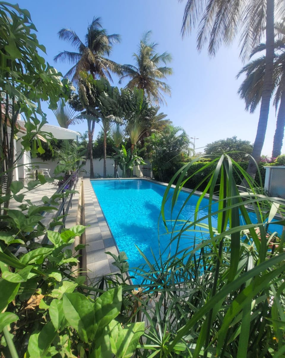 Natural landscape, Garden, Garden view, Pool view, Swimming pool