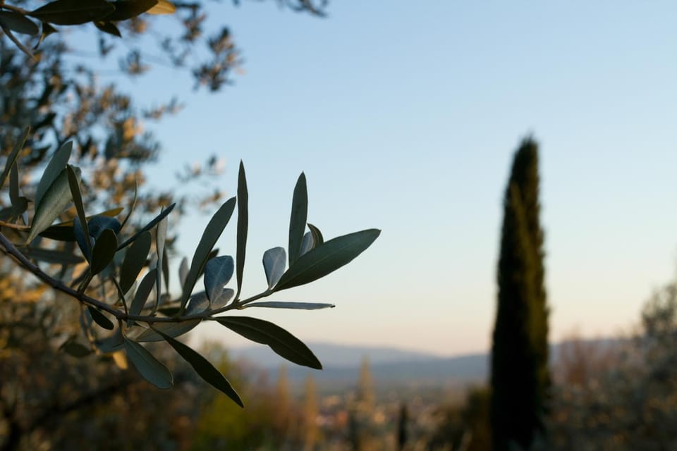 Spring, Other