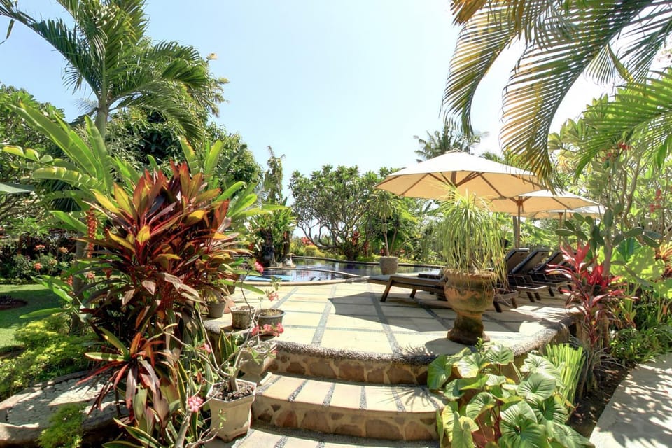 Balcony/Terrace, Swimming pool