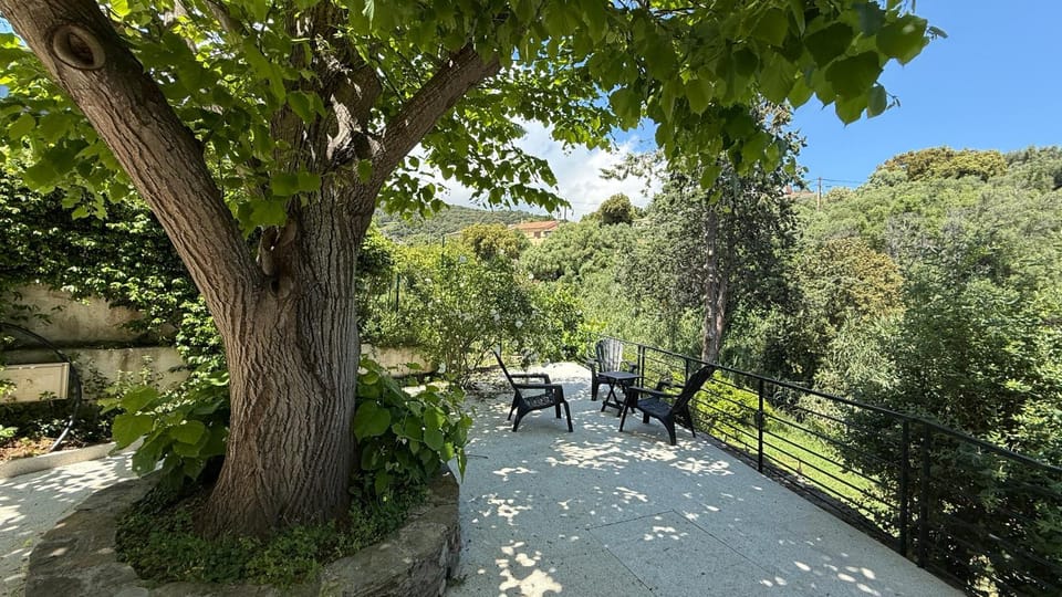 A CASA CORBAIA Appartement 40 m2, jardin privé, parking, proche centre ville et mer Apartment 40 m2, private garden parking near town center and sea port and airport Apartment in Bastia