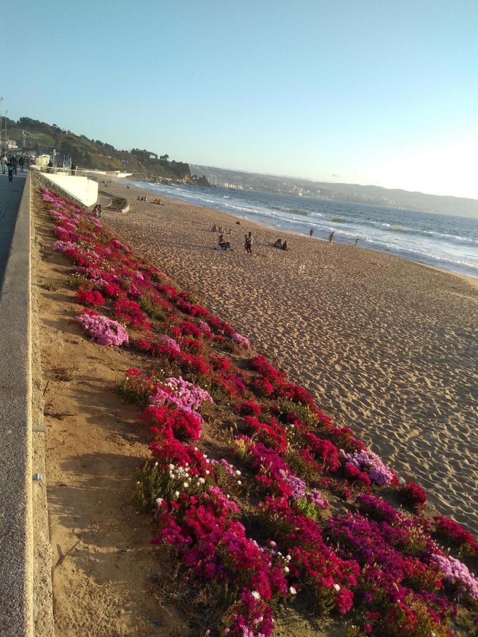 Departamento Reñaca maravillosa vista al mar Apartment in Vina del Mar
