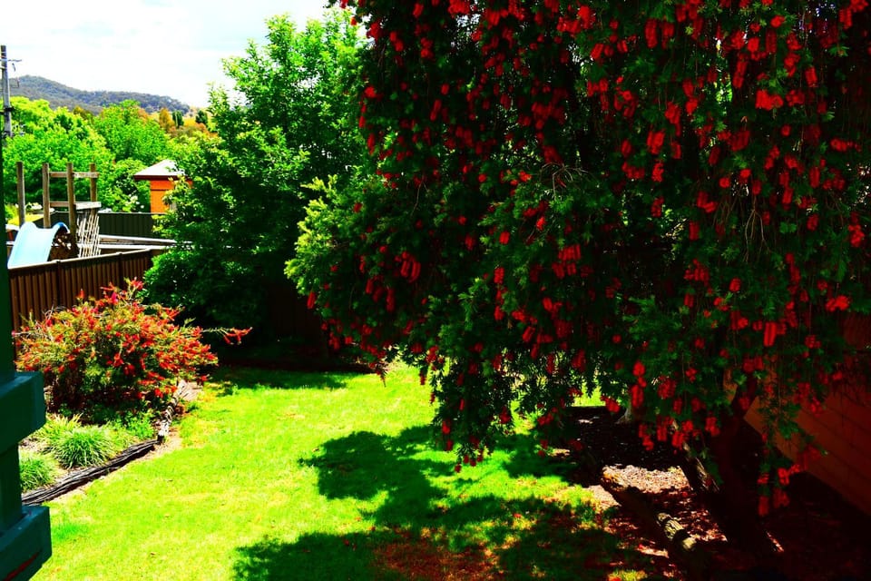 Spring, Natural landscape, Garden, Garden view, Mountain view