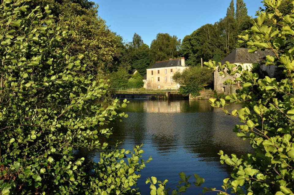 Fishing, Garden