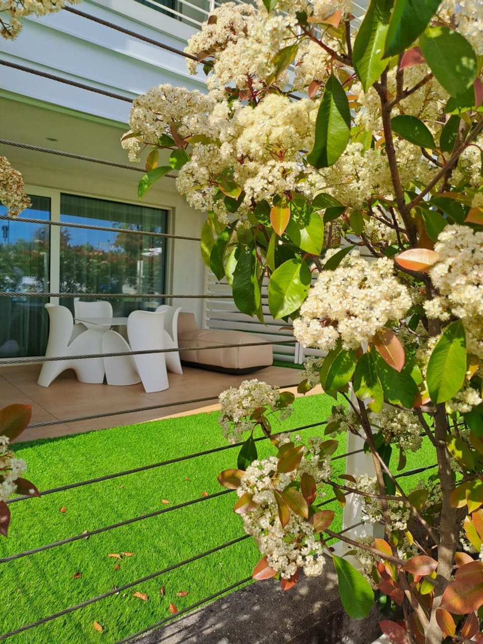 Patio, Spring, Day, Garden, Garden, Balcony/Terrace, Garden view, sunbed