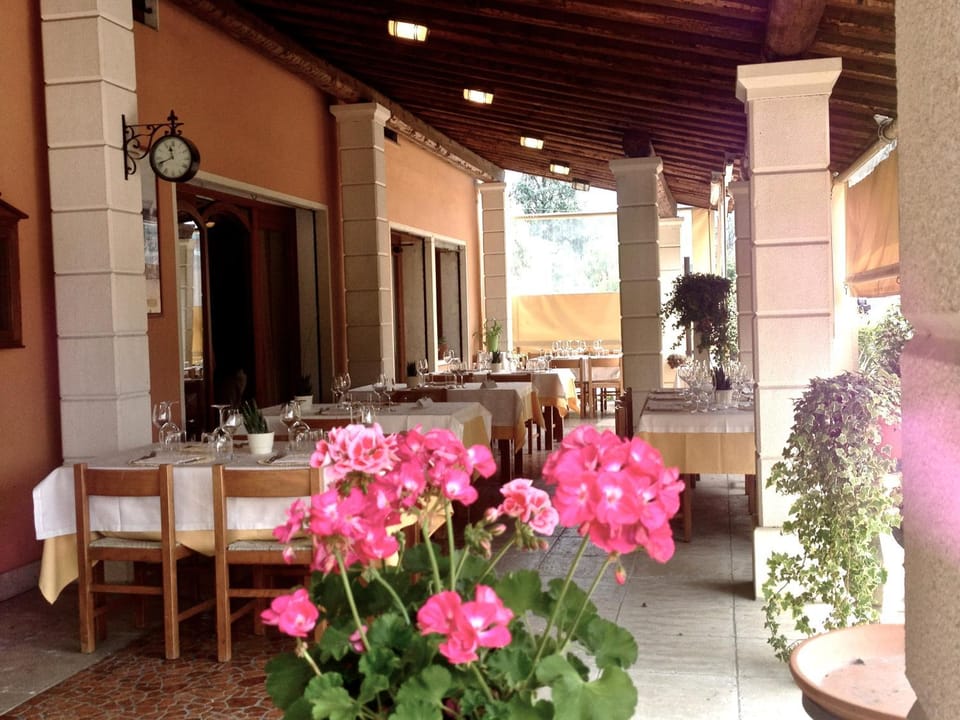 Patio, Restaurant/places to eat