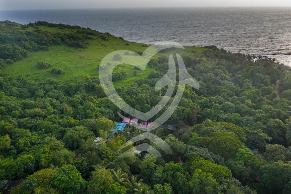 Natural landscape, Bird's eye view