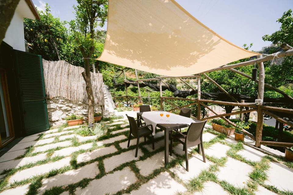 Patio, Garden, Garden view