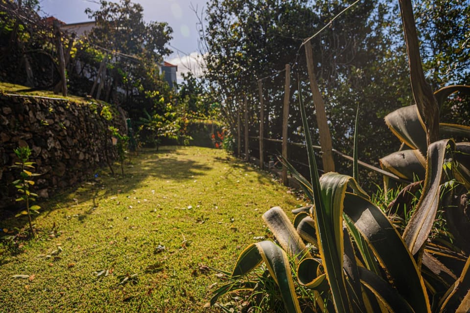 Madeira-Meerblick-Haus House in Madeira District