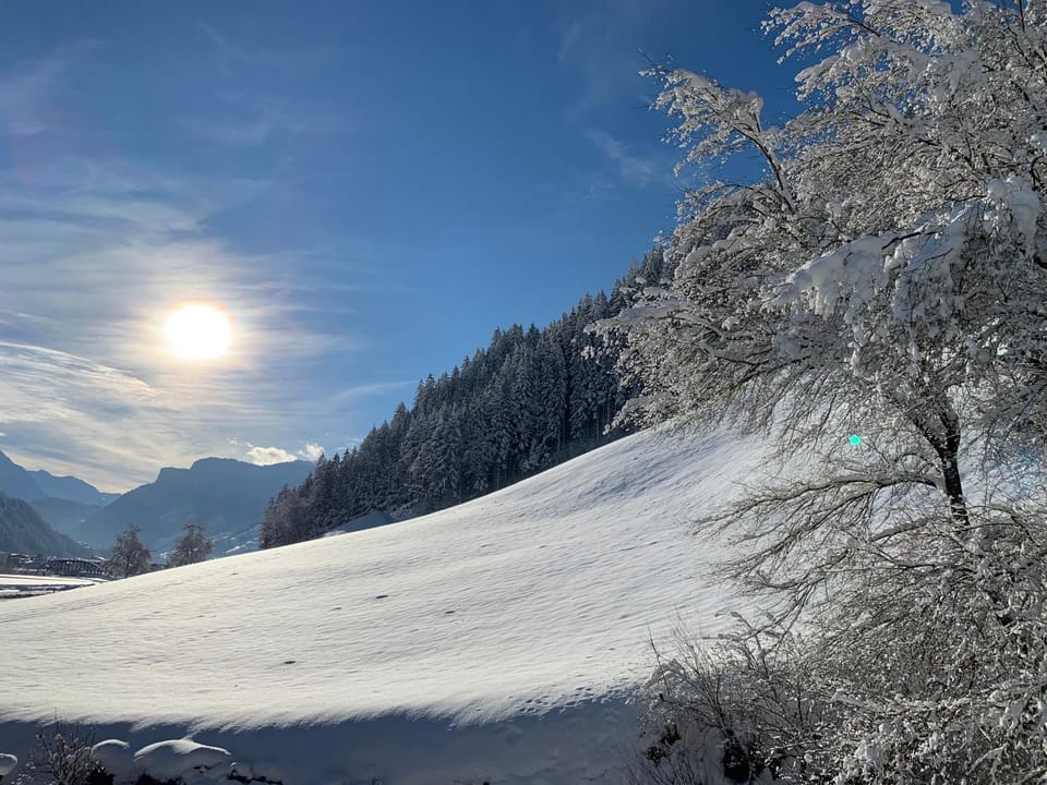 Appartements Zillertal Noten Apartment in Tyrol