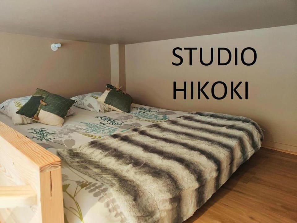 Studio Hikoki Apartment in Brittany