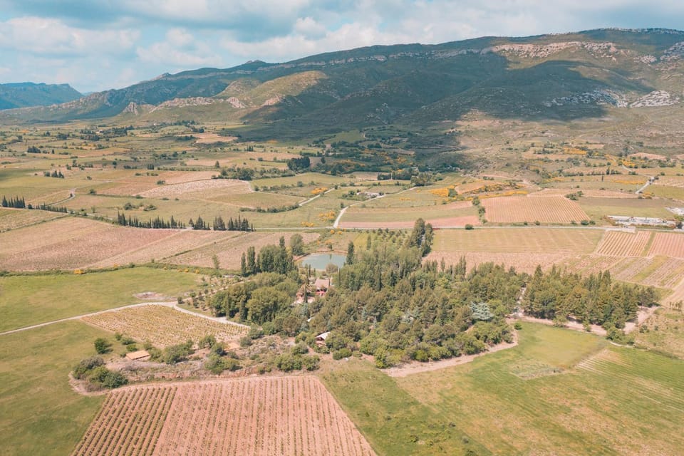 Bird's eye view, View (from property/room)