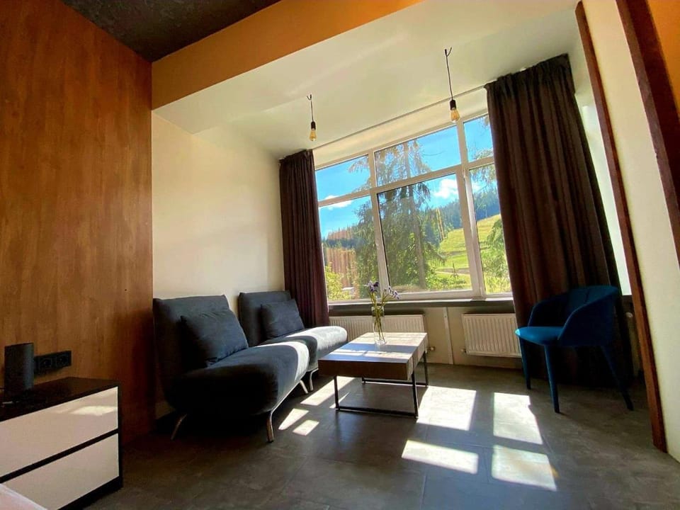 Living room, Photo of the whole room, Seating area