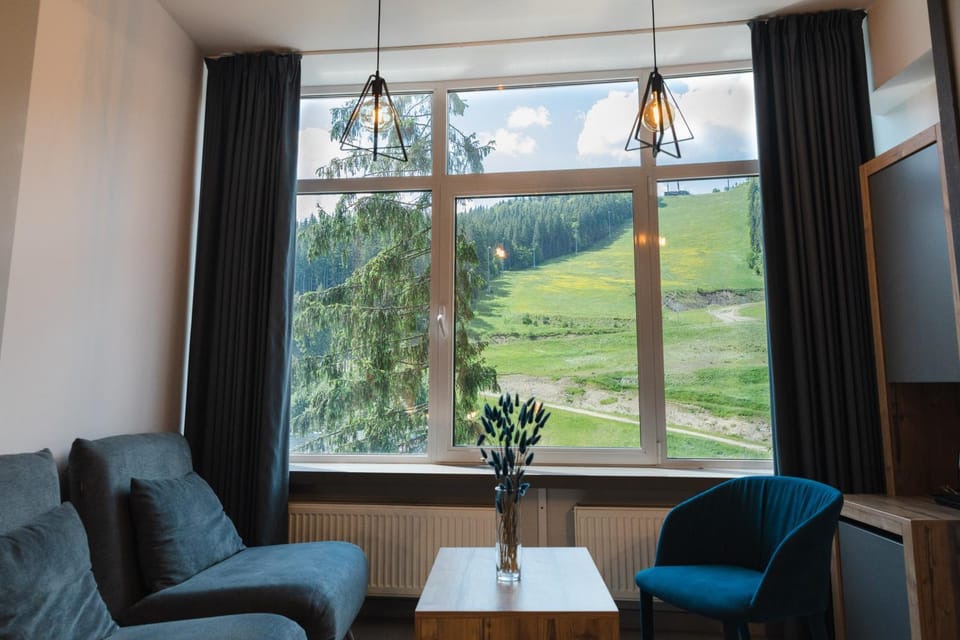 Living room, Seating area, Mountain view