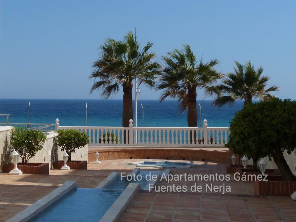 Garden, Sea view