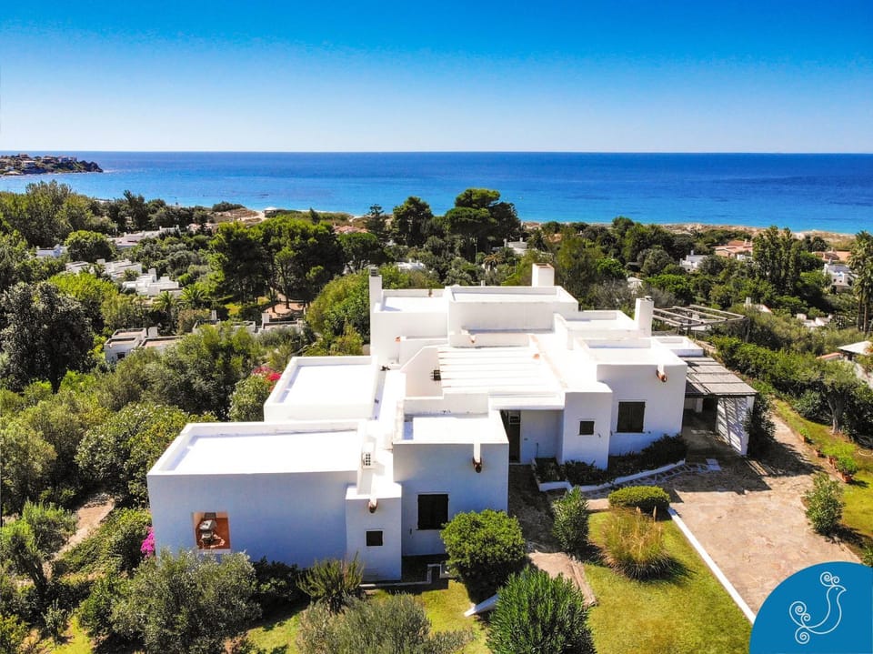 Bird's eye view, Sea view