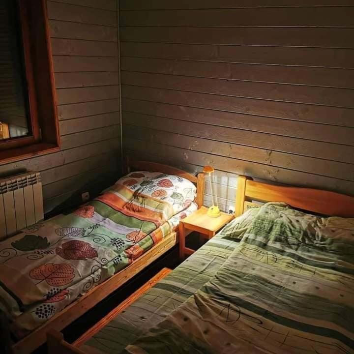 Vila Treska 98 House in Serbia