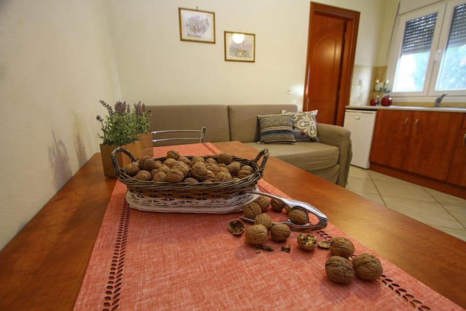 Kitchen or kitchenette, Garden view