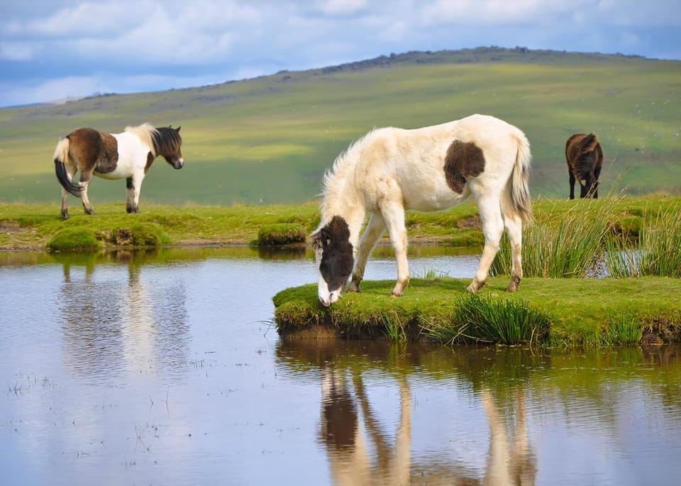 Natural landscape