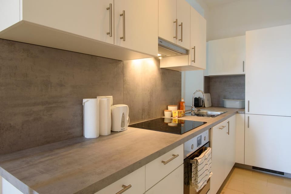 Central Living Apartment 1090 Vienna Apartment in Vienna