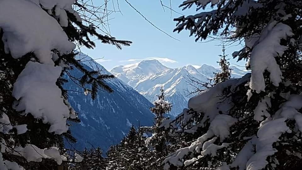 Haus Gamskogl Apartment in Neustift im Stubaital