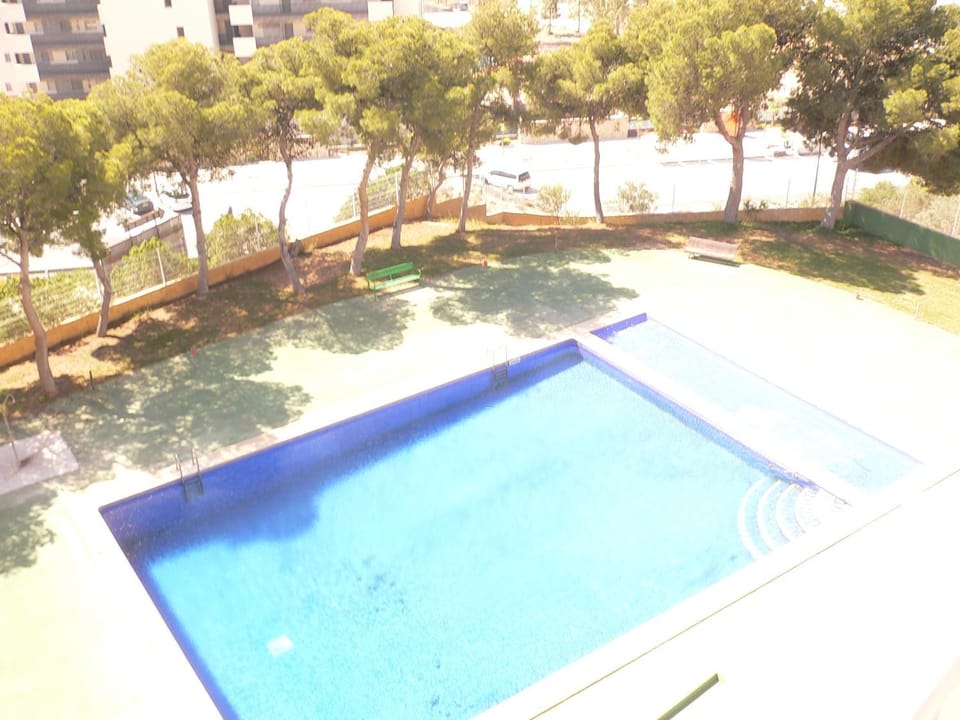 Pool view, Swimming pool
