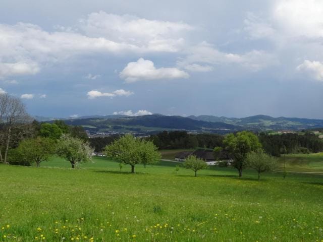 Natural landscape