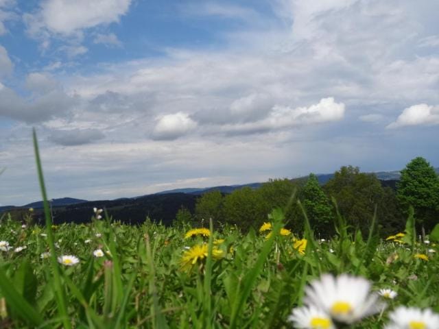 Natural landscape