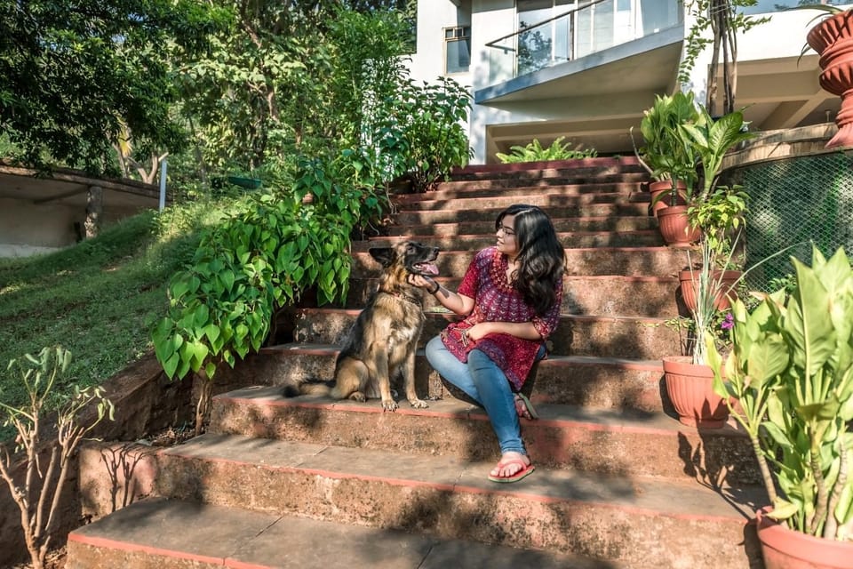 Property building, Day, People, Garden, Pets, Garden view