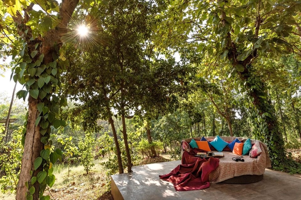 Day, Natural landscape, Garden, Seating area, On site