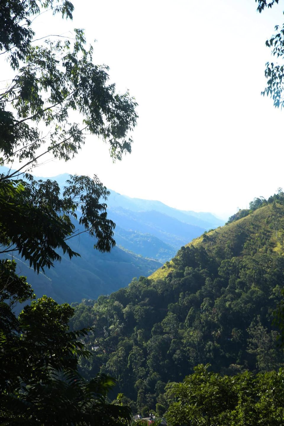 Saveen View Ella Nature lodge in Ella