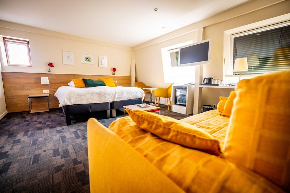 Bed, TV and multimedia, Living room, Photo of the whole room, Seating area, Bedroom, minibar, pet friendly