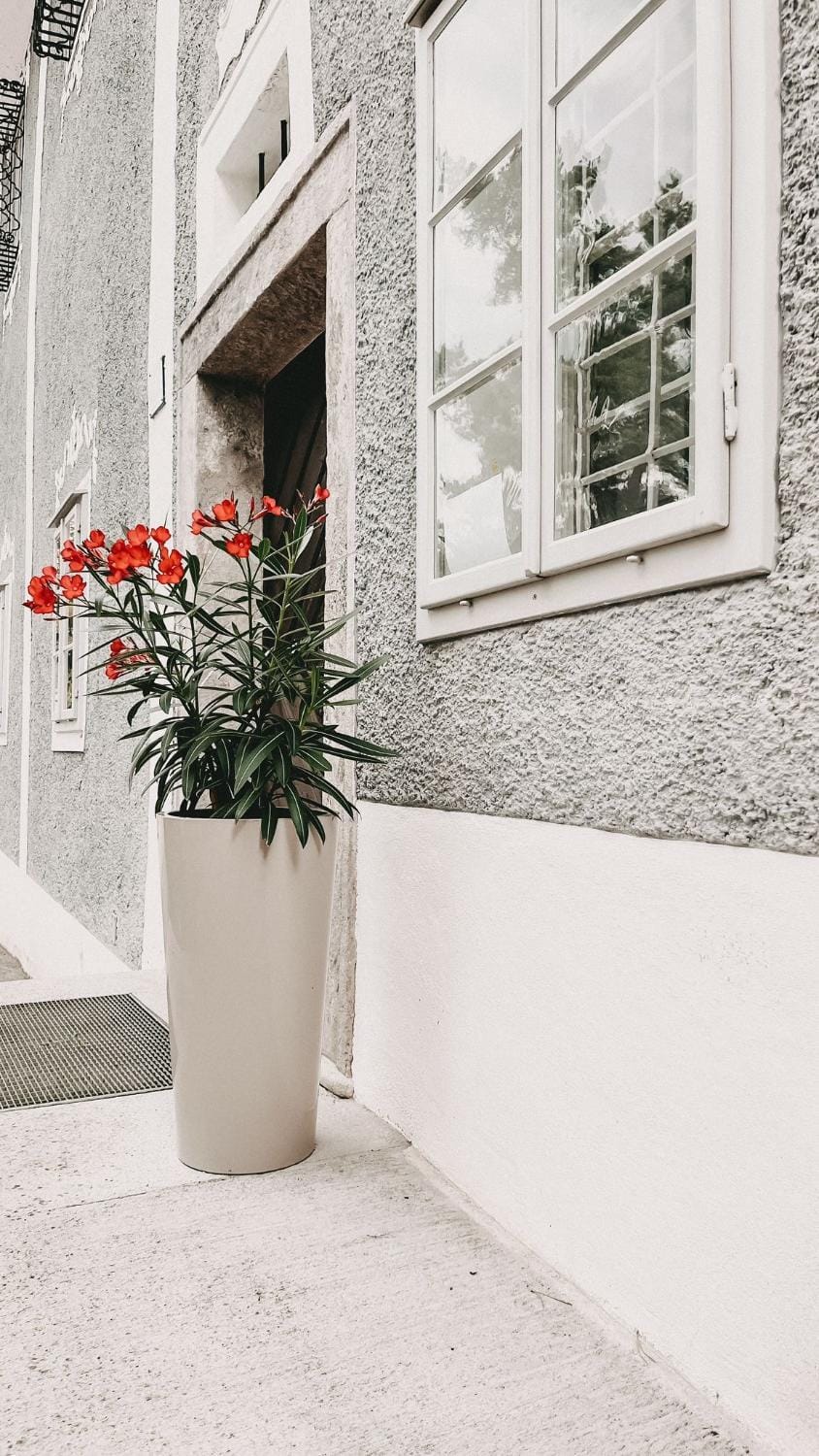 Schwarzes Haus Bed and Breakfast in Upper Austria