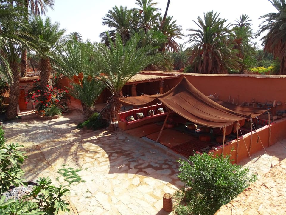 Day, Garden, Lobby or reception, Area and facilities