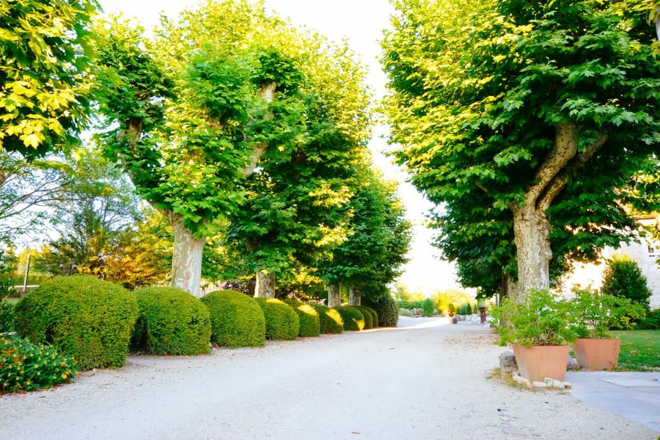 Facade/entrance, Natural landscape, Garden, Garden view