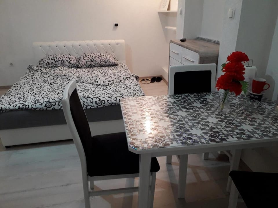 Studio Nena Apartment in Mostar