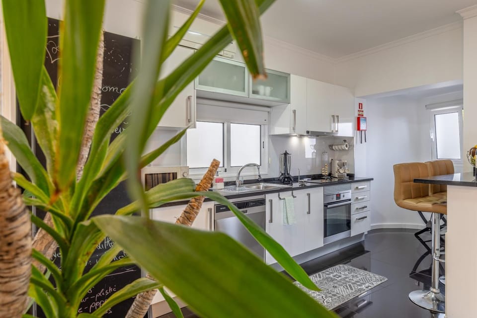 Kitchen or kitchenette, dishwasher, oven, stove