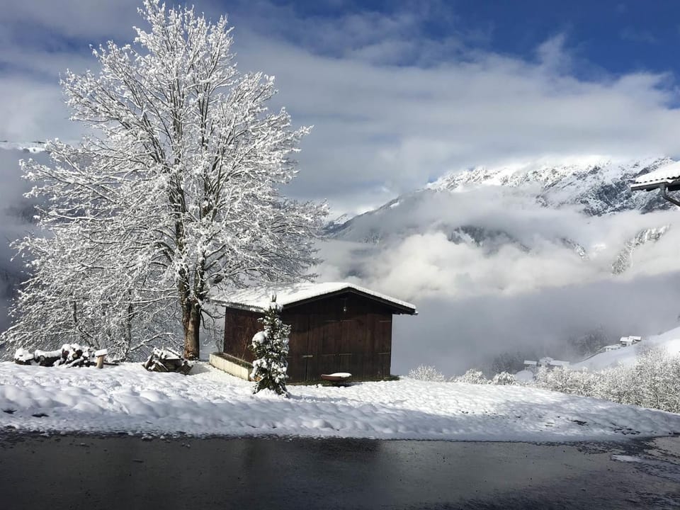 Winter, Mountain view