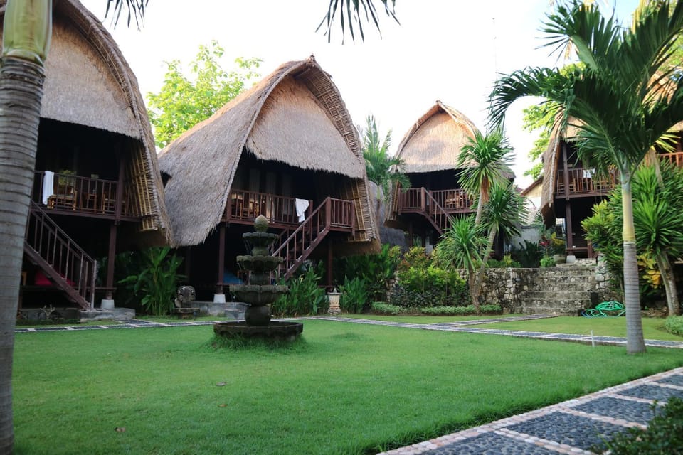 Garden, Garden view, Garden view