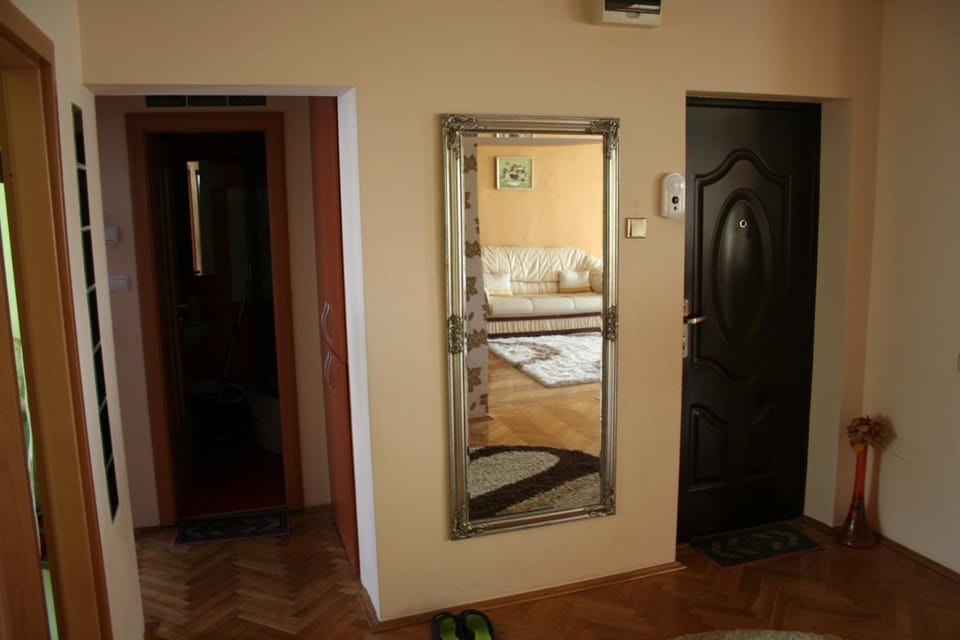 Nice & Relaxing Central Apartment Apartment in Romania