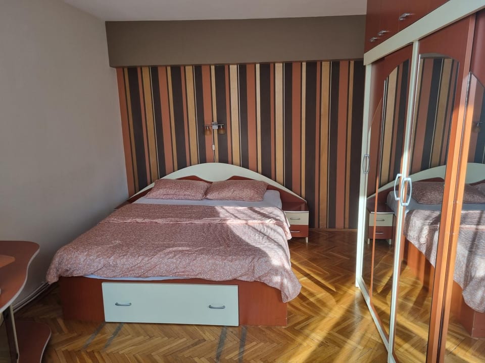 Nice & Relaxing Central Apartment Apartment in Romania