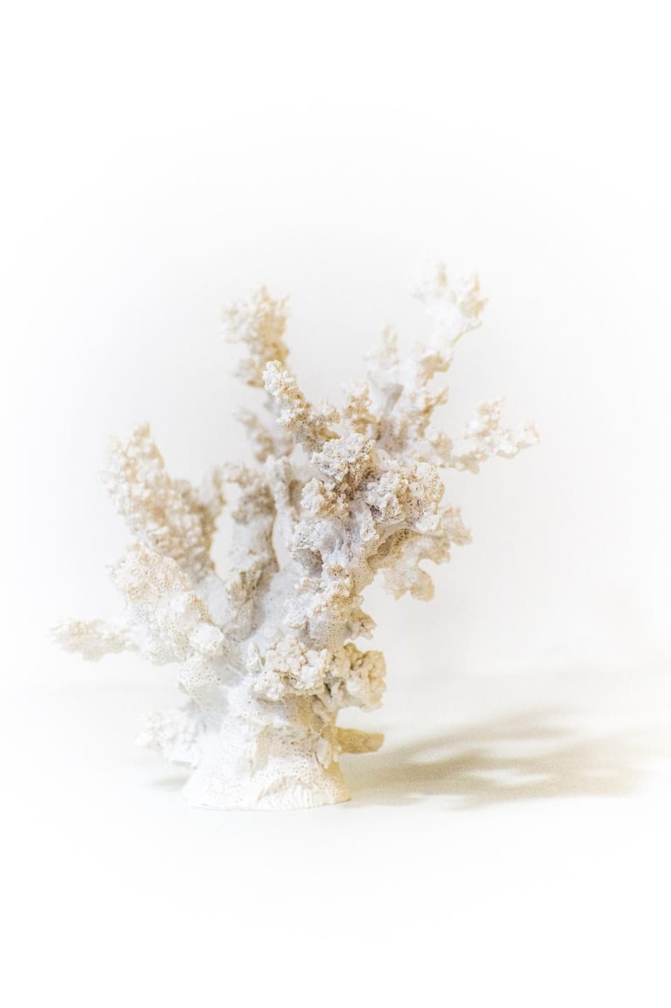 MarBianco B&B Bed and Breakfast in Marina di Carrara