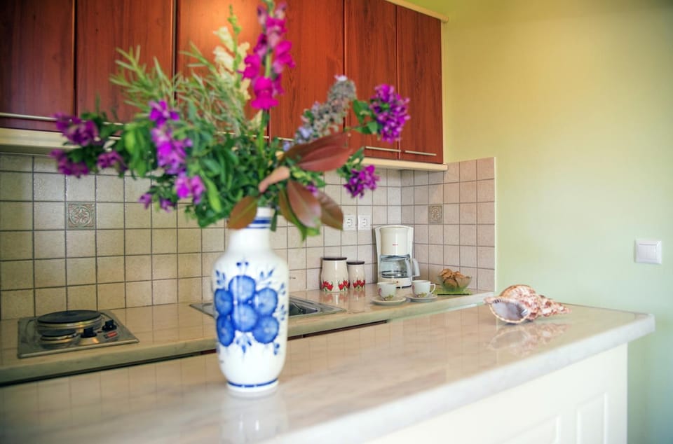 Vikentios Rooms Apartment in Islands