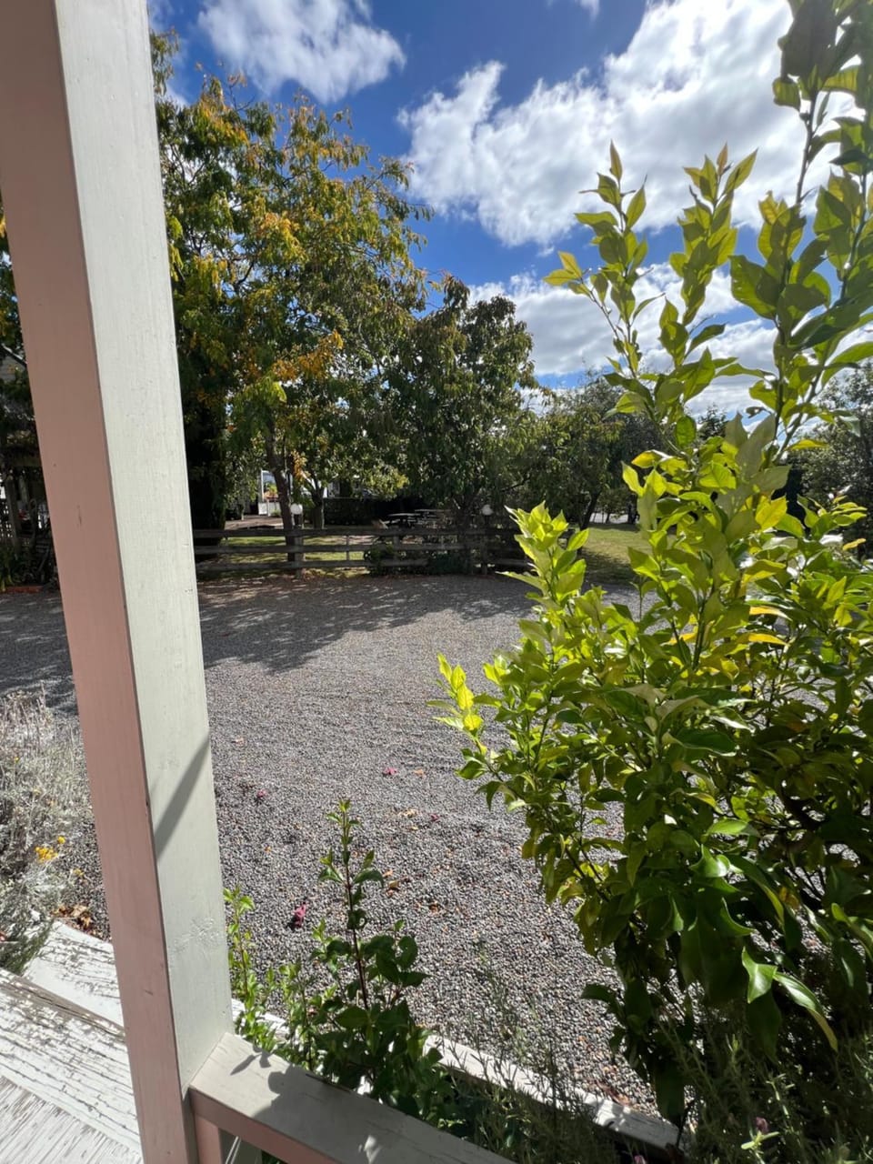 Garden view