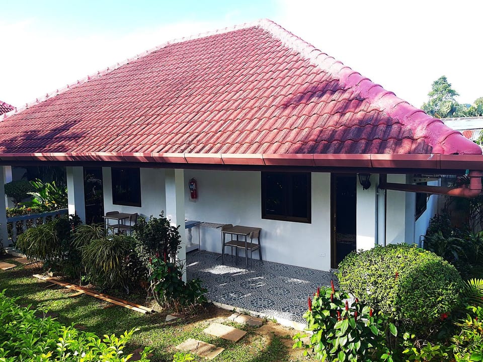 Property building, Garden view