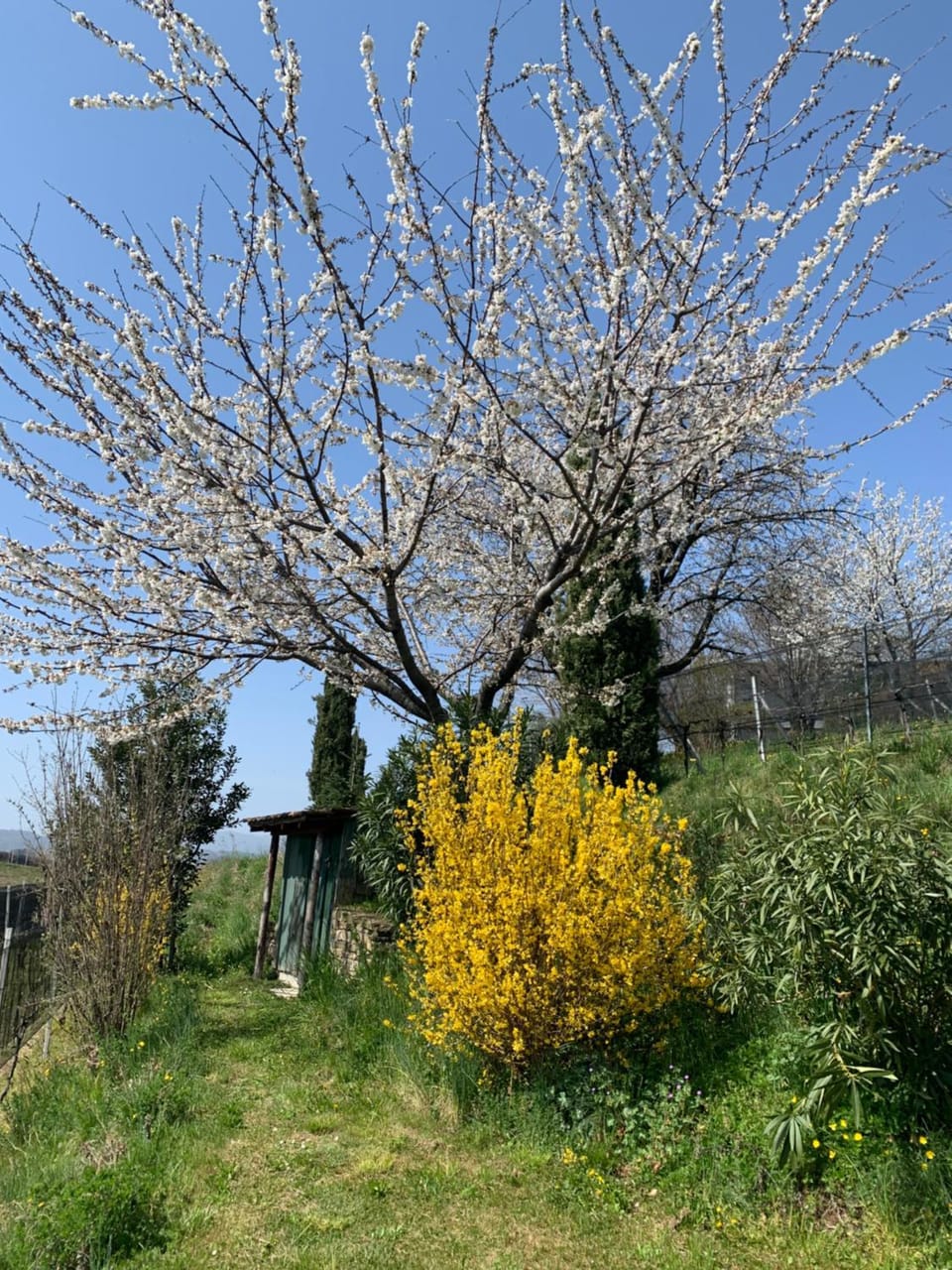 Appartamento TieMi Apartment in Canton of Ticino