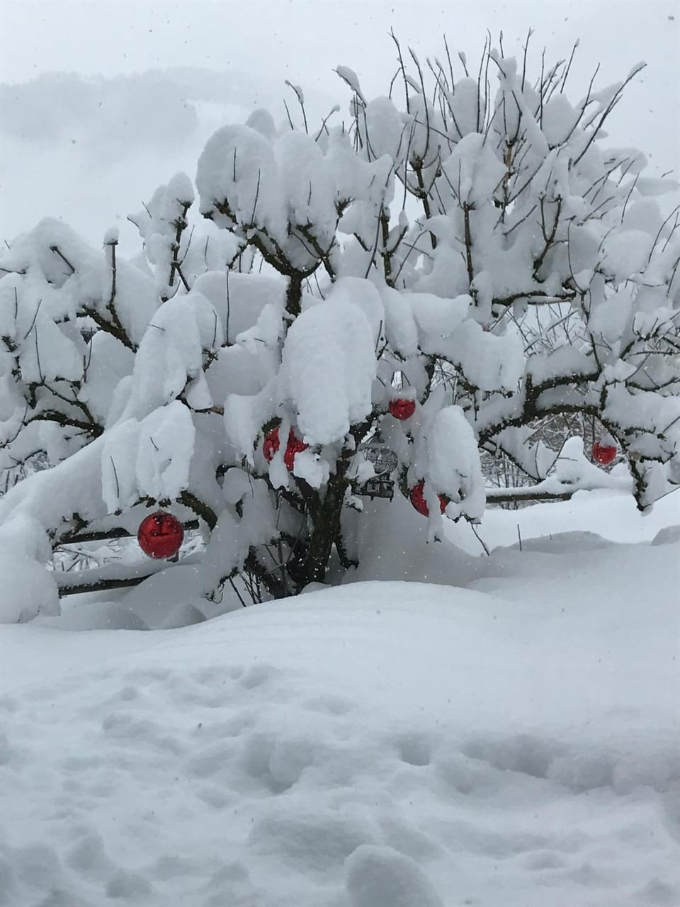 Natural landscape, Winter