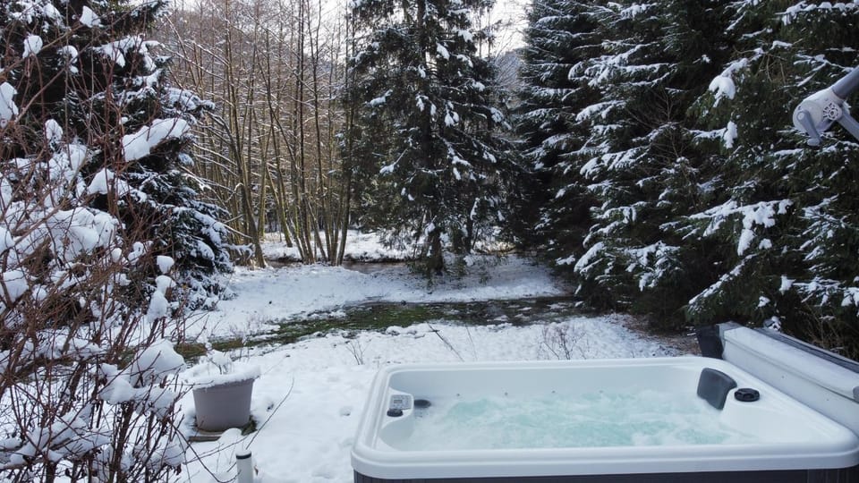 Le Petit Bouchot & Jacuzzi privatif proximité Gerardmer & La Bresse Chalet in Gérardmer