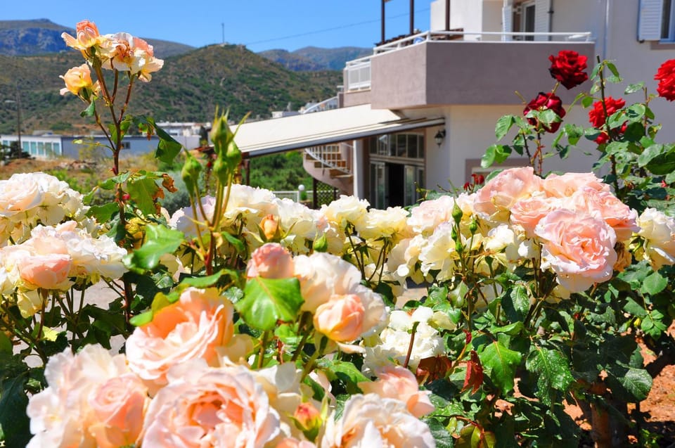 Lagos Studios & Apartments Apartment hotel in Lasithi