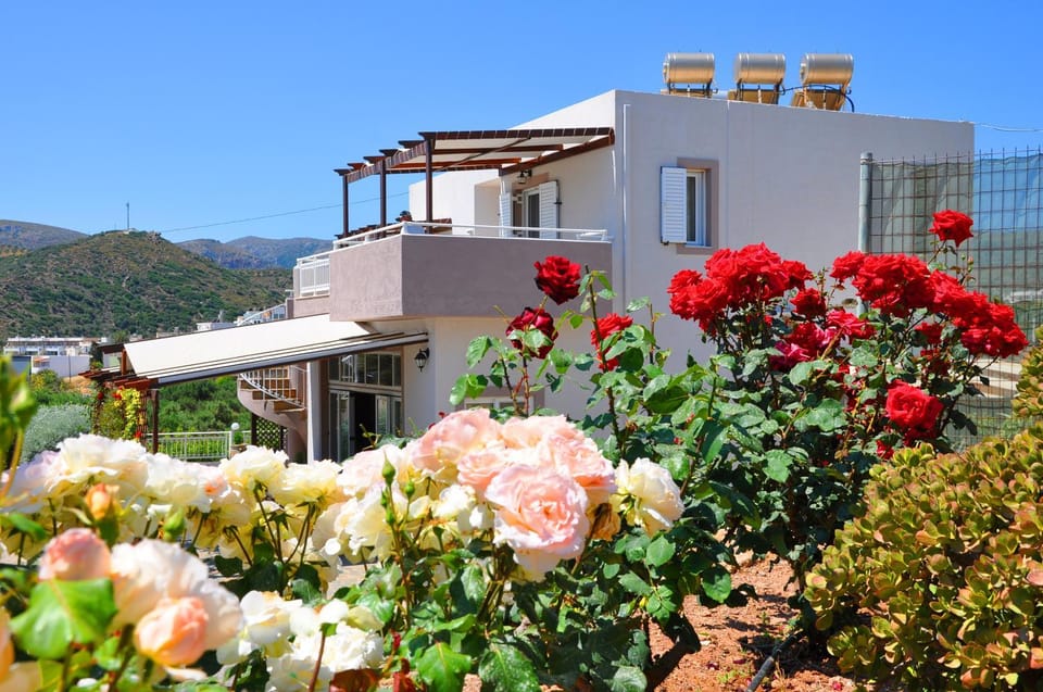 Garden, Garden view